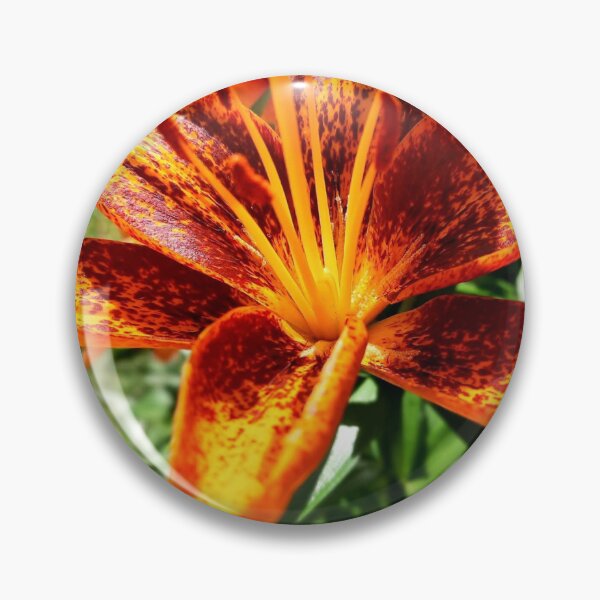 Item preview, Nature's Tiger Stripes designed and sold by TaisiasCaptures.