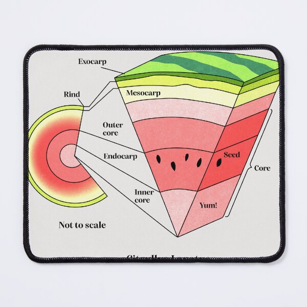 Item preview, watermelon cross section designed and sold by Elan Harris.