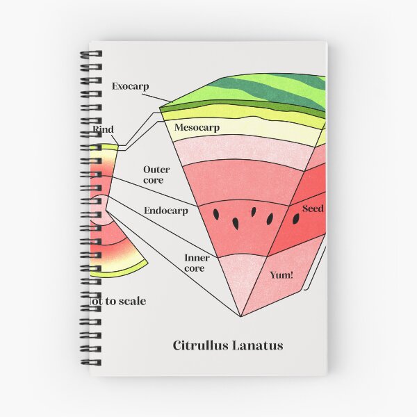 Item preview, watermelon cross section designed and sold by Elan Harris.