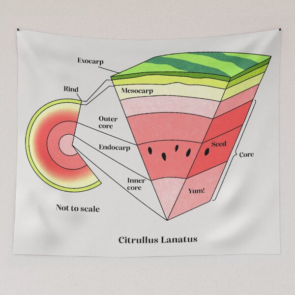Item preview, watermelon cross section designed and sold by Elan Harris.