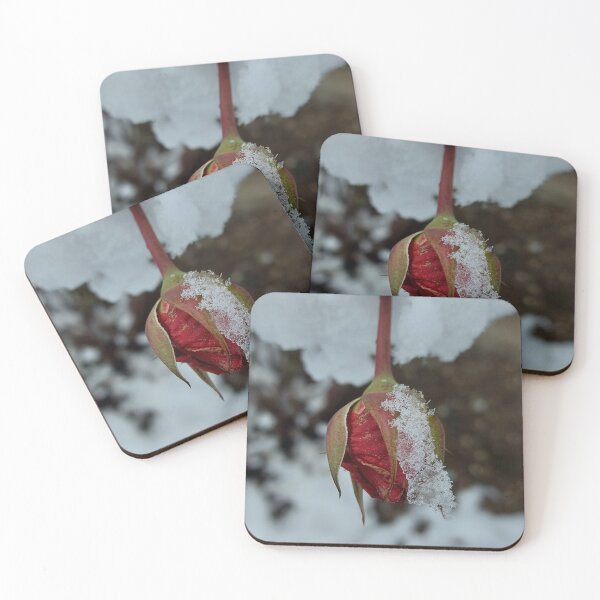 Item preview, Red Rose Coverd in Fresh Winter Snow designed and sold by ObjectAndNature.