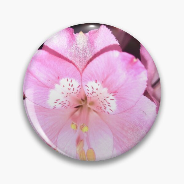 Item preview, Vibrant Pink Alstroemeria Bouquet designed and sold by TaisiasCaptures.