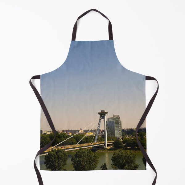 Item preview, Bratislava's UFO Bridge Across the Danube designed and sold by BadWolfStudios.
