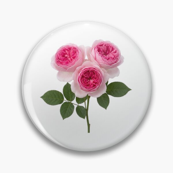 Item preview, Pink English Roses - stem of 3  designed and sold by plushyTamer.