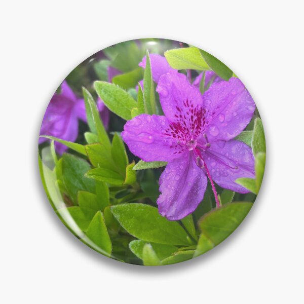 Item preview, Dewy Purple Bloom designed and sold by TaisiasCaptures.
