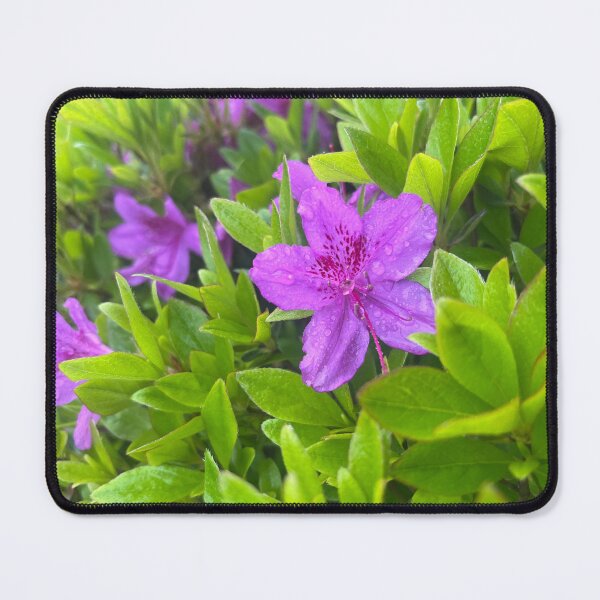 Item preview, Dewy Purple Bloom designed and sold by TaisiasCaptures.
