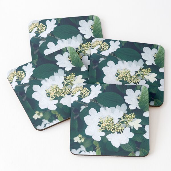 Item preview, Summer Snowflake Viburnum designed and sold by TaisiasCaptures.
