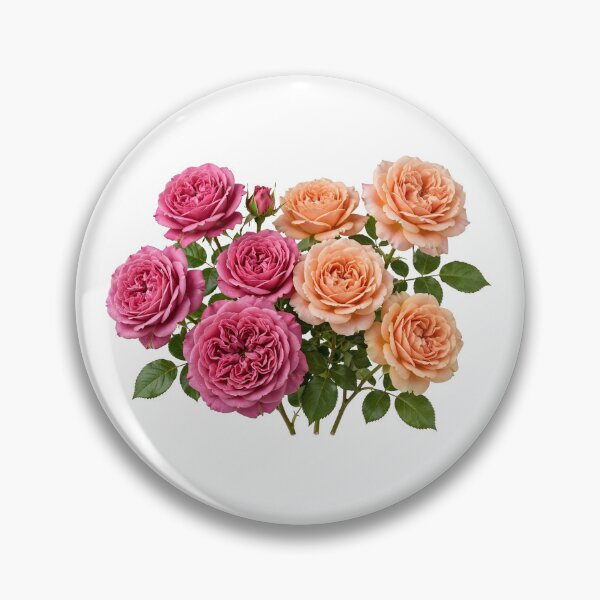 Item preview, Pink & Apricot English Roses designed and sold by plushyTamer.