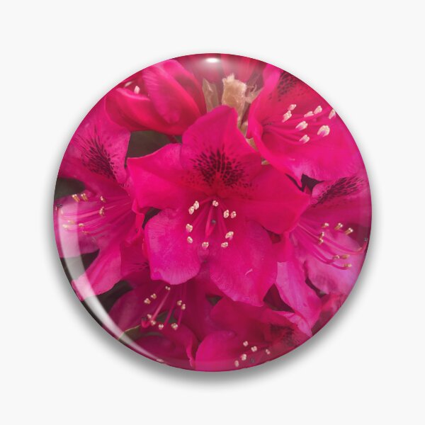 Item preview, Vibrant Magenta Rhododendron in Full Bloom designed and sold by TaisiasCaptures.