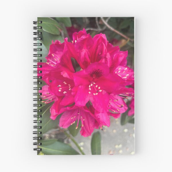 Item preview, Fuchsia Garden Whimsy designed and sold by TaisiasCaptures.