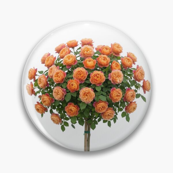 Item preview, English Rose Tree - Aprcot/Orange  designed and sold by plushyTamer.
