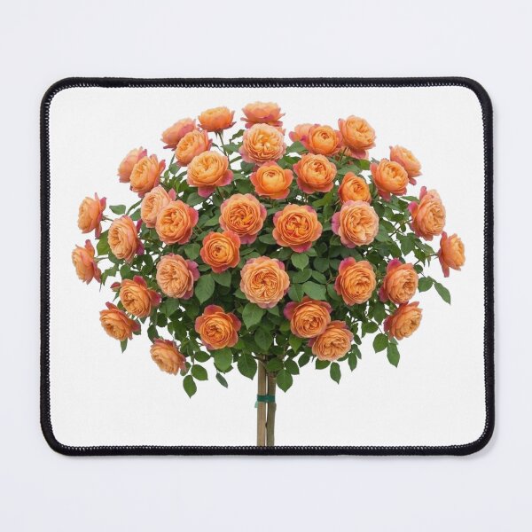 Item preview, English Rose Tree - Aprcot/Orange designed and sold by plushyTamer.
