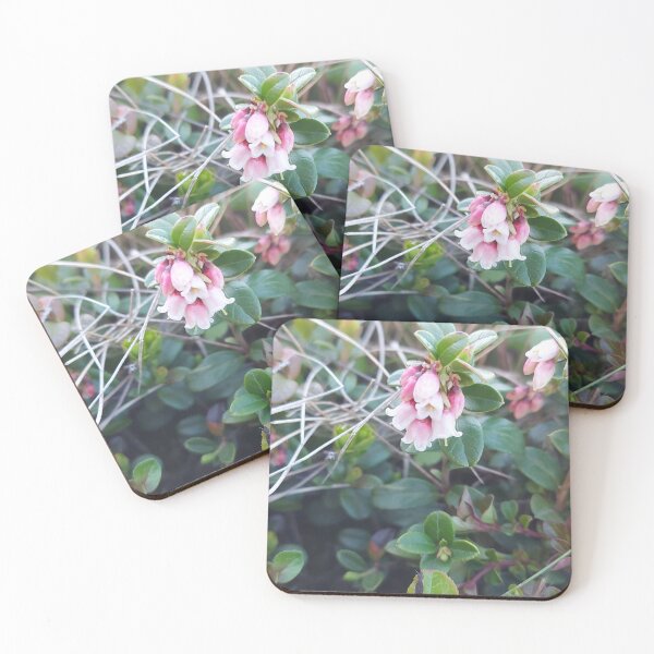 Item preview, Wild Blueberry blossom designed and sold by ObjectAndNature.