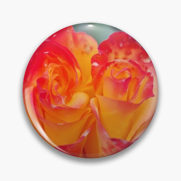 Item preview, Boi-color Crimson and gold rose Blossom Closeup designed and sold by ObjectAndNature.