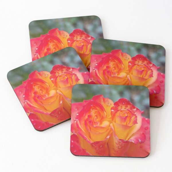 Item preview, Boi-color Crimson and gold rose Blossom Closeup designed and sold by ObjectAndNature.