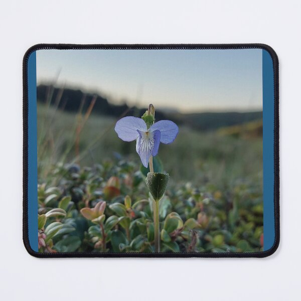 Item preview, Solitary Blue Blossom Nature Photography designed and sold by ObjectAndNature.