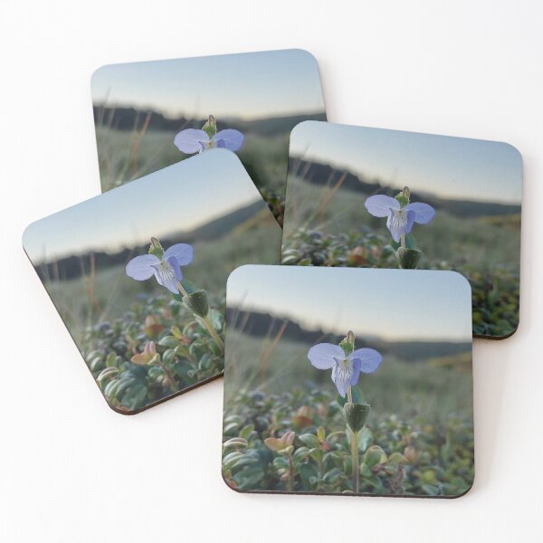 Item preview, Solitary Blue Blossom Nature Photography designed and sold by ObjectAndNature.