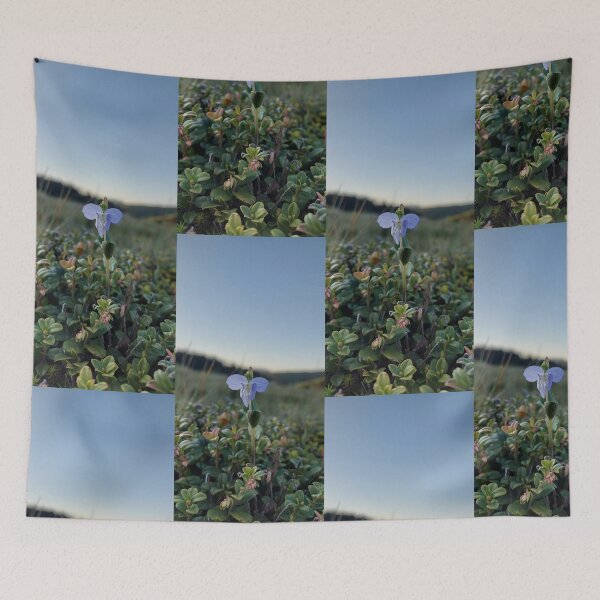 Item preview, Solitary Blue Blossom Nature Photography designed and sold by ObjectAndNature.