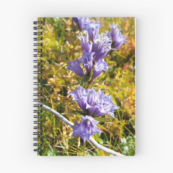 Item preview, Vibrant Blue Gentian Wildflowers in Autumn Field designed and sold by ObjectAndNature.