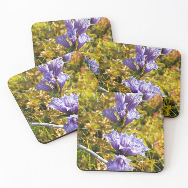Item preview, Vibrant Blue Gentian Wildflowers in Autumn Field designed and sold by ObjectAndNature.