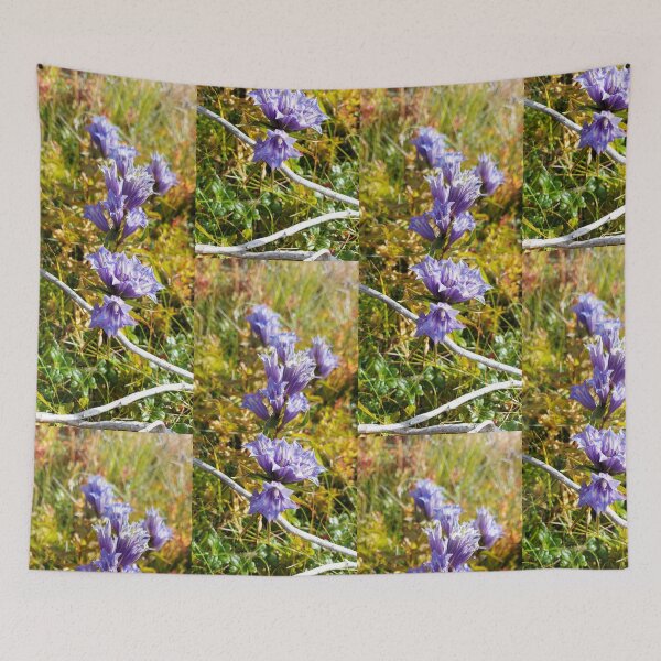 Item preview, Vibrant Blue Gentian Wildflowers in Autumn Field designed and sold by ObjectAndNature.