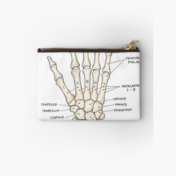 Item preview, Anatomy - Hand Bones - Physical Therapy Sticker designed and sold by isokinetic.