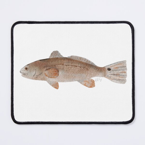 Item preview, Red Drum designed and sold by paintedbyAKS.