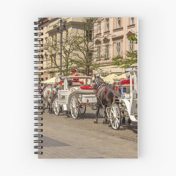 Item preview, Horse and Carriage designed and sold by StephenRphoto.