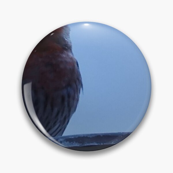 Item preview, House Finch Resting on Rooftop designed and sold by WilesNailsPower.