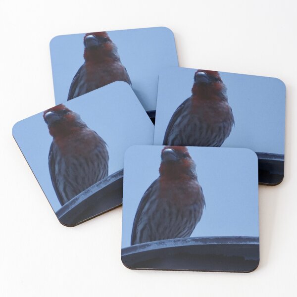 Item preview, House Finch Resting on Rooftop designed and sold by WilesNailsPower.