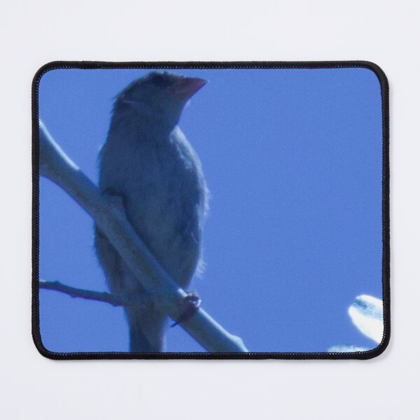 Item preview, House Sparrow designed and sold by WilesNailsPower.