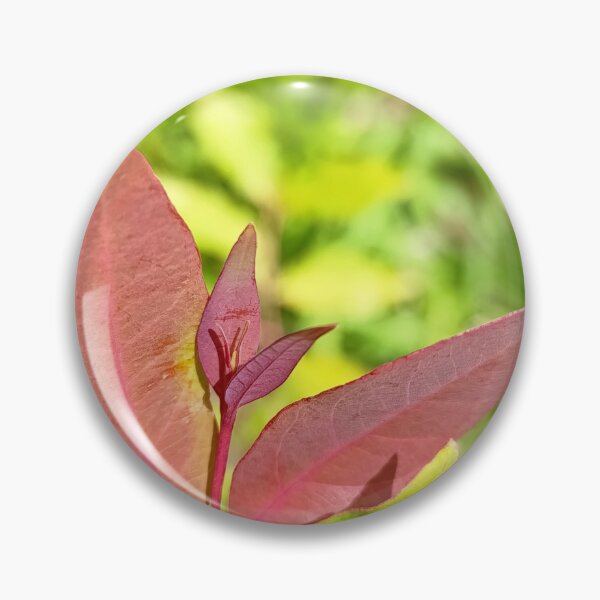 Item preview, Keep Growing - Botanical Red Leaf Photography designed and sold by PicturePic.