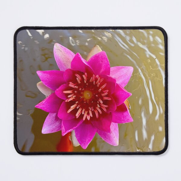 Item preview, Zen Garden designed and sold by Betsy Phillips.