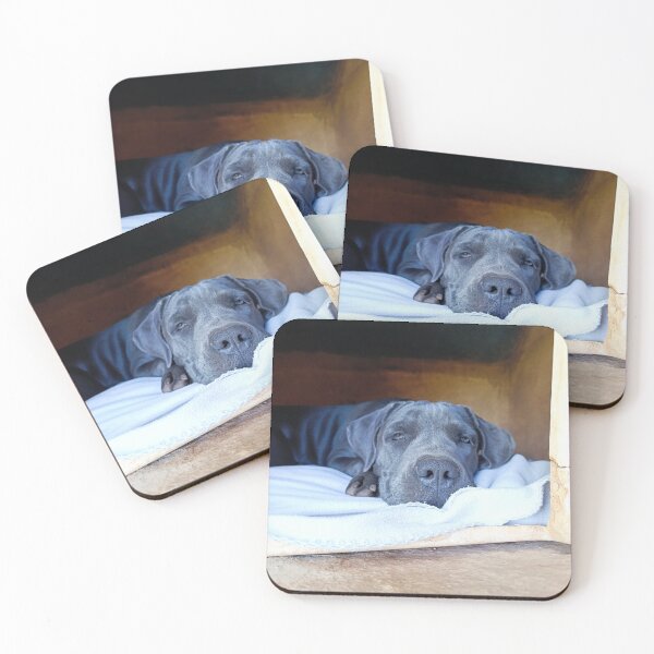 Item preview, Cane Corso in his doghouse designed and sold by PicturePic.