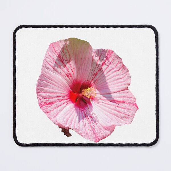 Item preview, Hibiscus Flower designed and sold by GoobsPhotoCo.