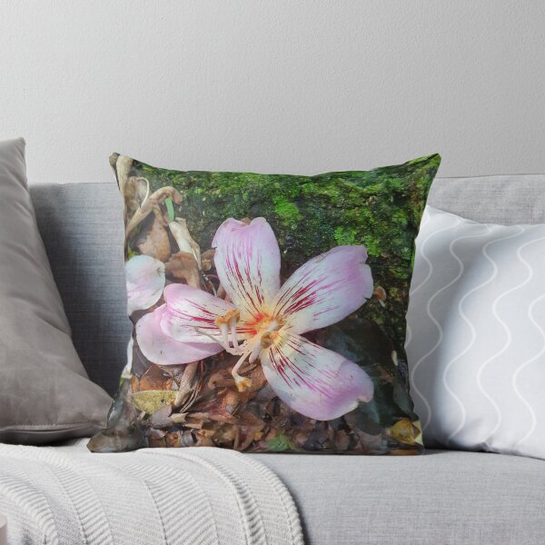 Item preview, Pink Silk Floss Flower on Forest Floor designed and sold by PicturePic.
