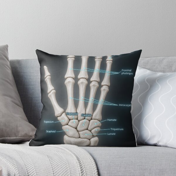 Item preview, Anatomy - Hand Bones 3D - Physical Therapy Sticker designed and sold by isokinetic.