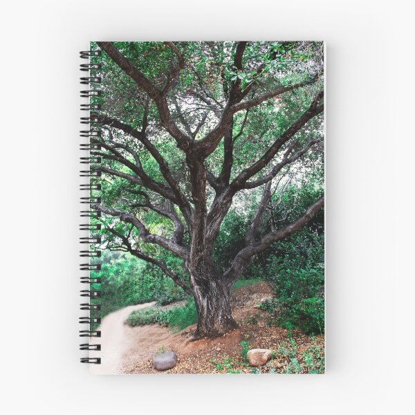 Item preview, Big Tree in the Park designed and sold by heatherfriedman.