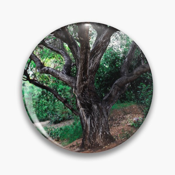 Item preview, Big Tree in the Park designed and sold by heatherfriedman.