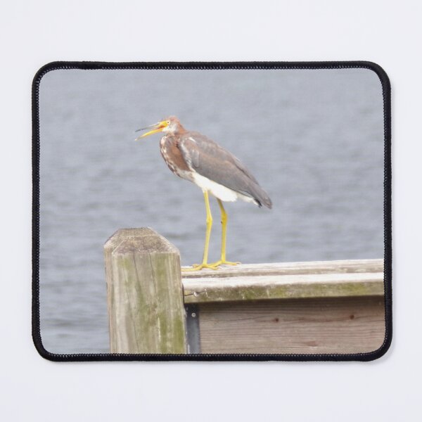 Item preview, Tricolored Heron designed and sold by SquaresArt.