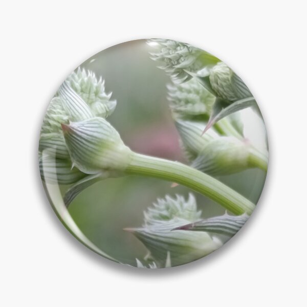 Item preview, Nature's Geometry designed and sold by PicturePic.
