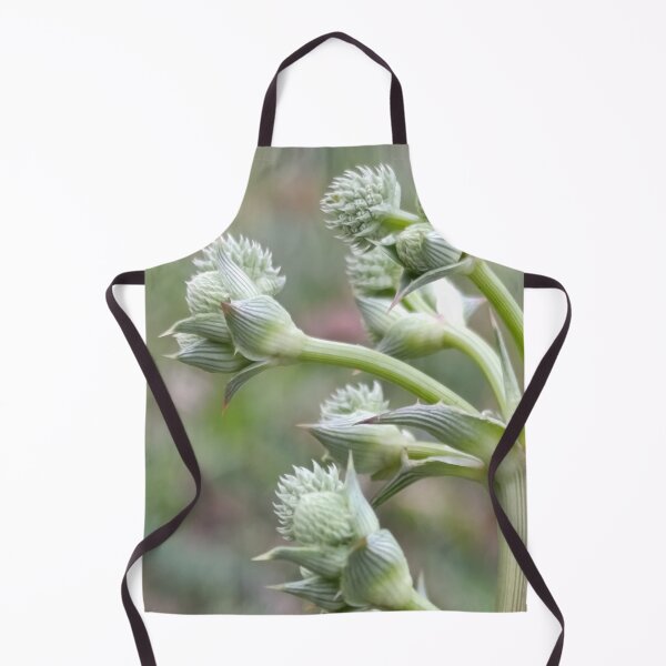Item preview, Nature's Geometry designed and sold by PicturePic.
