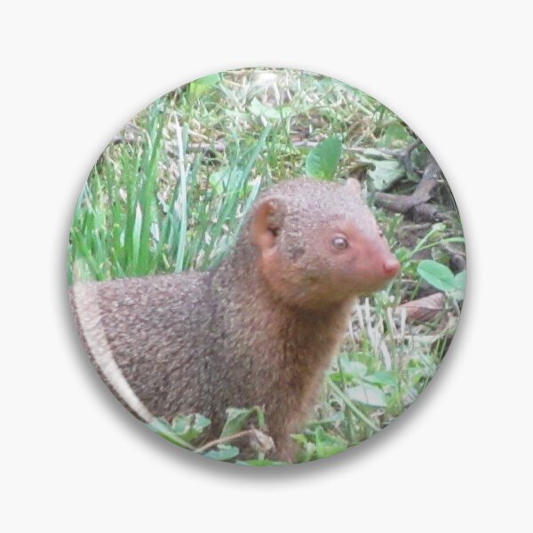 Item preview, Mongoose designed and sold by TurtlesPhotoCo.