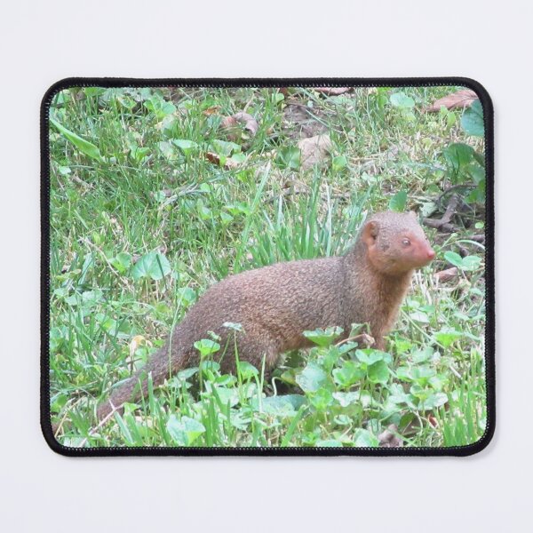 Item preview, Mongoose designed and sold by GoobsPhotoCo.