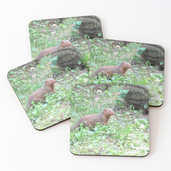 Item preview, Mongoose designed and sold by TurtlesPhotoCo.