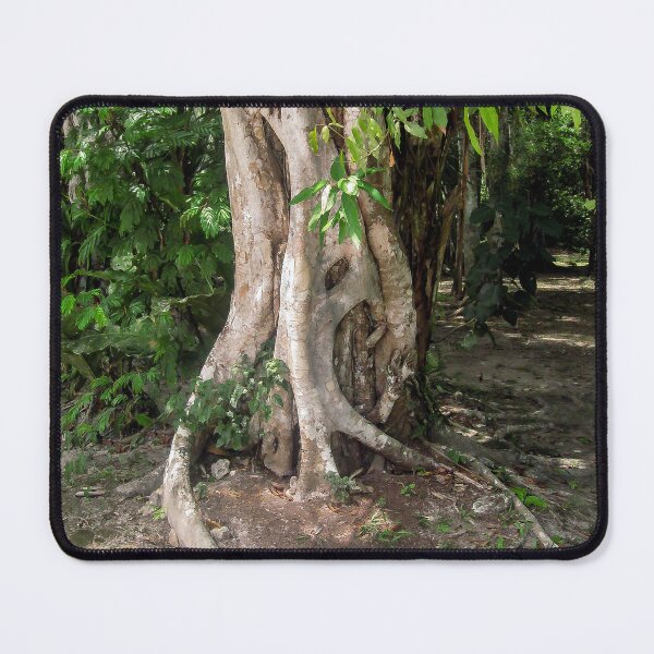 Item preview, Forest Tree in Guatemala designed and sold by heatherfriedman.