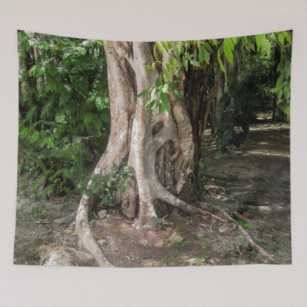 Item preview, Forest Tree in Guatemala designed and sold by heatherfriedman.
