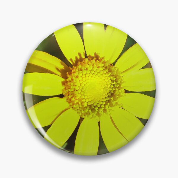 Item preview, Shining Bright  designed and sold by heatherfriedman.