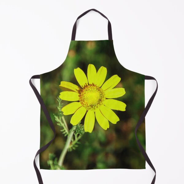 Item preview, Shining Bright designed and sold by heatherfriedman.