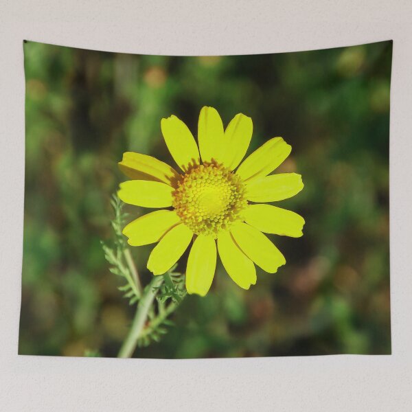 Item preview, Shining Bright  designed and sold by heatherfriedman.